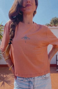 Image 3 of TERRACOTA