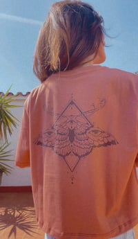 Image 1 of TERRACOTA