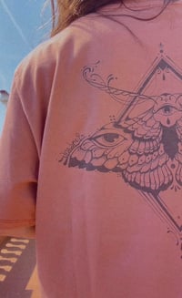 Image 5 of TERRACOTA