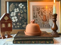 Boston Warehouse Terra Cotta Garlic Roaster 