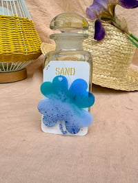 Chance bleuet sauvage