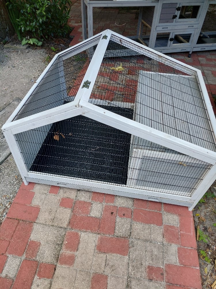 Image of Hutch (Rabbits or chicks)