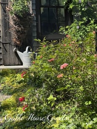 Image 1 of SUMMER Mystery Box