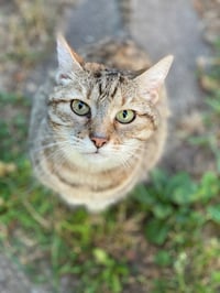 Image 2 of SUMMER Mystery Box