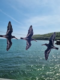 Image 2 of In Flight.  Decorative hanging garland.  
