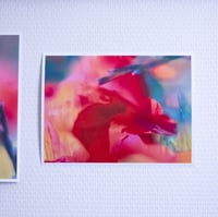 Licoeur • Le collage