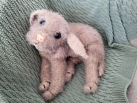 Image 4 of Meet Ella – the dog who feels almost real