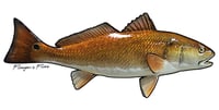 Image 15 of Fish Stickers