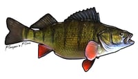 Image 12 of Fish Stickers