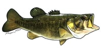 Image 13 of Fish Stickers