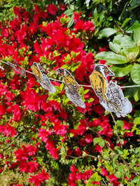 Image 3 of Garden Birds.  Decorative hanging garland. 