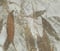 Image of Foulards en soie