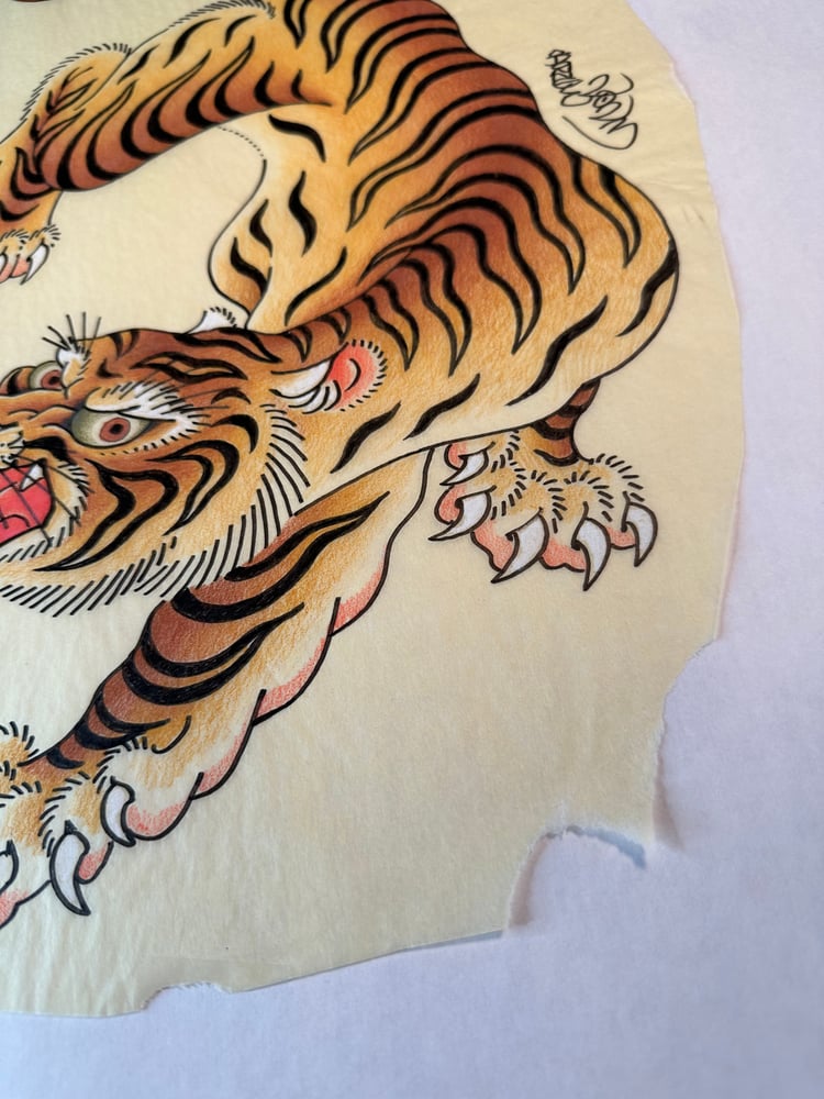 Image of Large Tiger study 2023