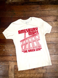 Image 1 of Amesbury Shirt PREORDER