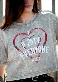 Image 1 of I HATE EVERYONE v2 - DAS-044