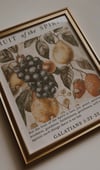 FRUIT OF THE SPIRIT PRINT