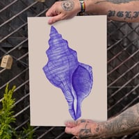 Image 1 of Blue Sea Shell Number 1