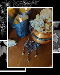 Image 2 of ☽ Bryonia Nera Aurea ☾