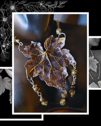 Image 5 of ☽ Bryonia Nera Aurea ☾