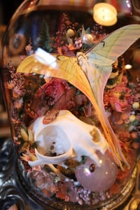 Image 8 of My sister started working for me and now she limits my car time