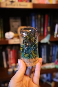 Image 3 of The amount I paid in shipping for cool chicken breeds