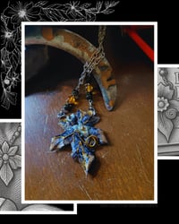 Image 4 of ☽ Bryonia Flora Nera ☾