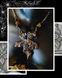 Image 5 of ☽ Bryonia Flora Nera ☾