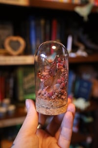 Image 3 of The ship cost for more chickens because one of mine didn’t make it and I’m very sad