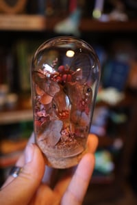 Image 2 of The ship cost for more chickens because one of mine didn’t make it and I’m very sad