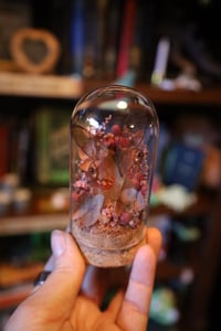 Image 1 of The ship cost for more chickens because one of mine didn’t make it and I’m very sad