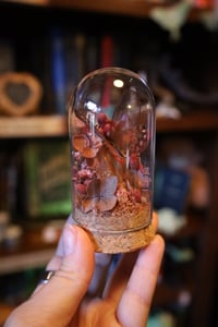 Image 5 of The ship cost for more chickens because one of mine didn’t make it and I’m very sad