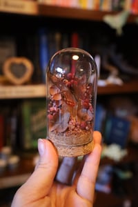 Image 4 of The ship cost for more chickens because one of mine didn’t make it and I’m very sad