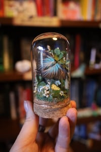 Image 4 of Literally one (1) Ayam Cemani chick