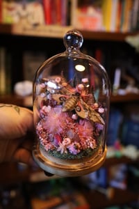 Image 1 of I almost passed out taking these pictures because I wore sweats in 75* weather