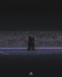 Image 2 of HOODED KERMIT - 1/64 SCALE FIGURE