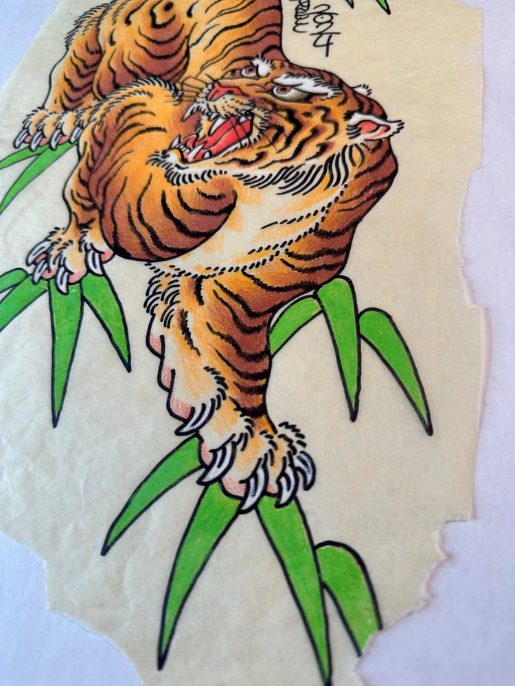 Image of Tiger study 2024