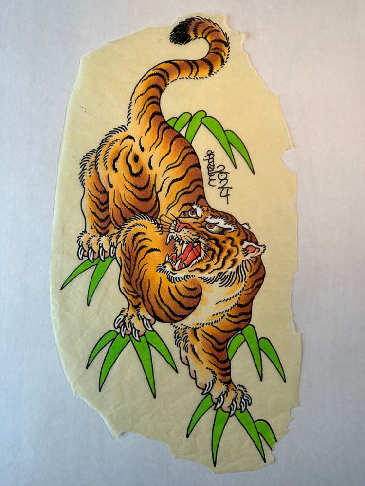 Image of Tiger study 2024