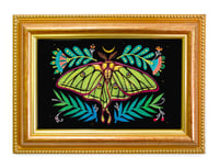 The Window in gold frame