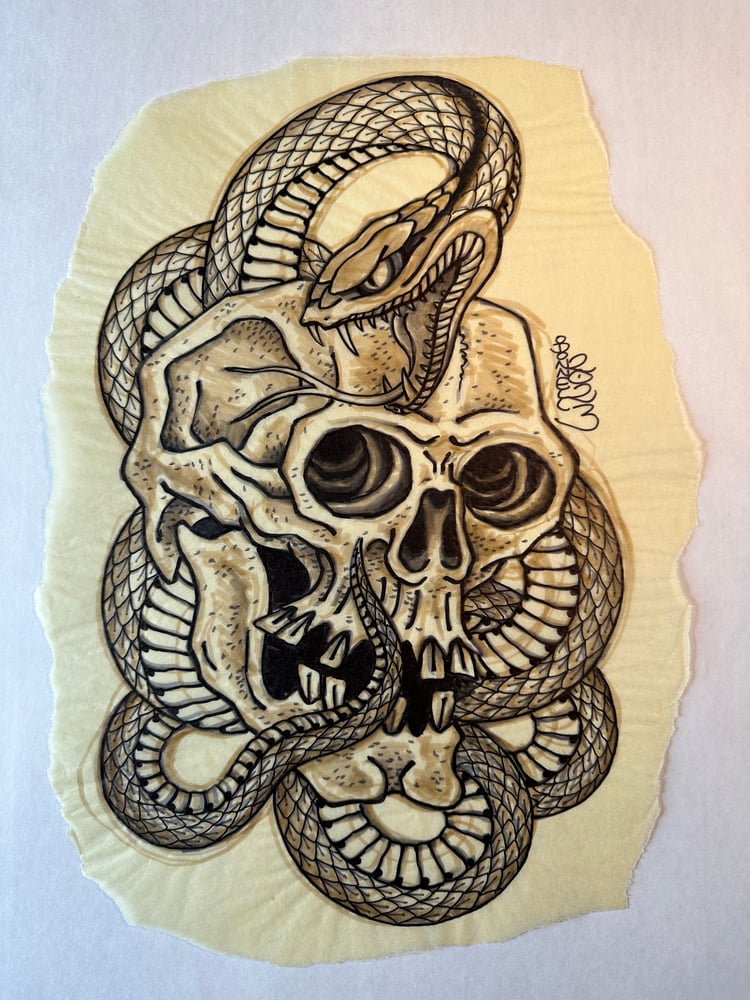 Image of Skull and snake marker sketch 2023