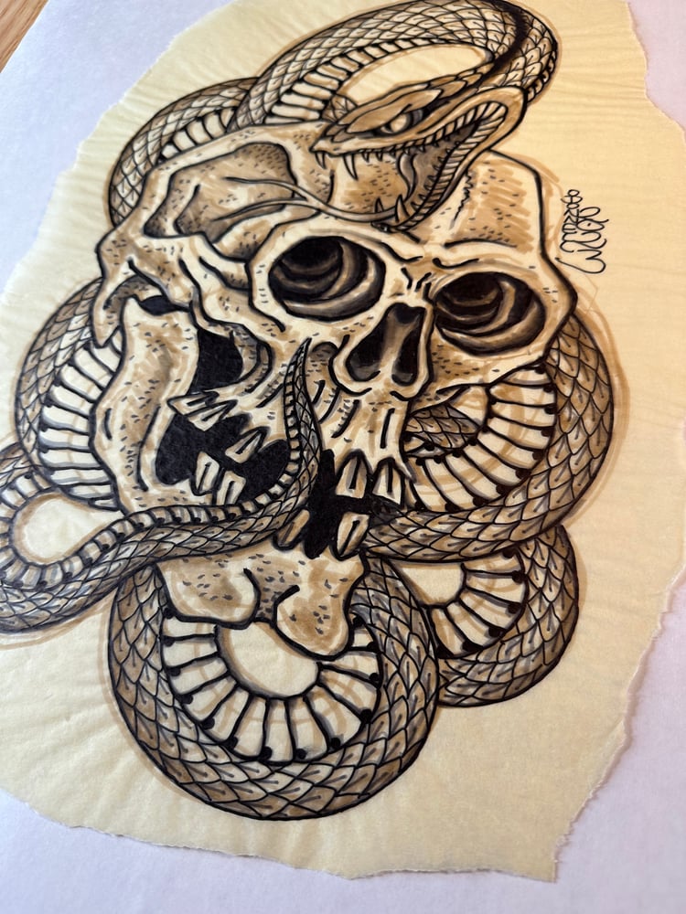 Image of Skull and snake marker sketch 2023