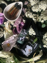 Image 1 of 𝔙𝔢𝔯𝔫𝔞𝔩 𝔈𝔱𝔢𝔯𝔫𝔞𝔩 ❦❧ Ephemerals & Rarities