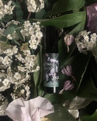 Image 2 of 𝔙𝔢𝔯𝔫𝔞𝔩 𝔈𝔱𝔢𝔯𝔫𝔞𝔩 ❦❧ Ephemerals & Rarities