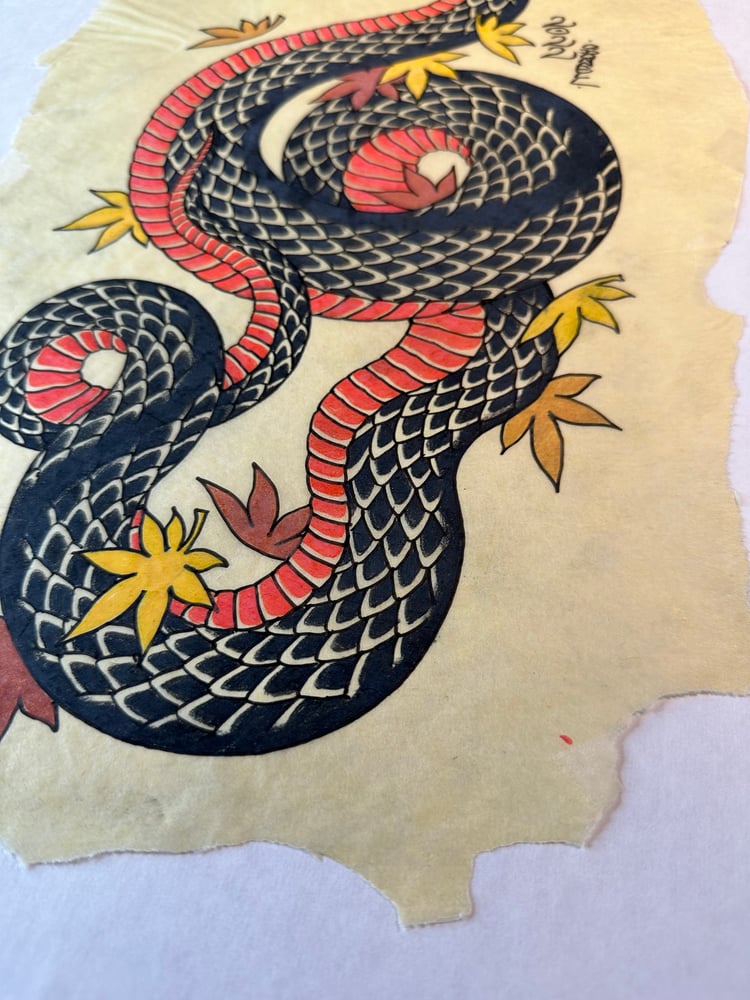 Image of Black & red snake 2022