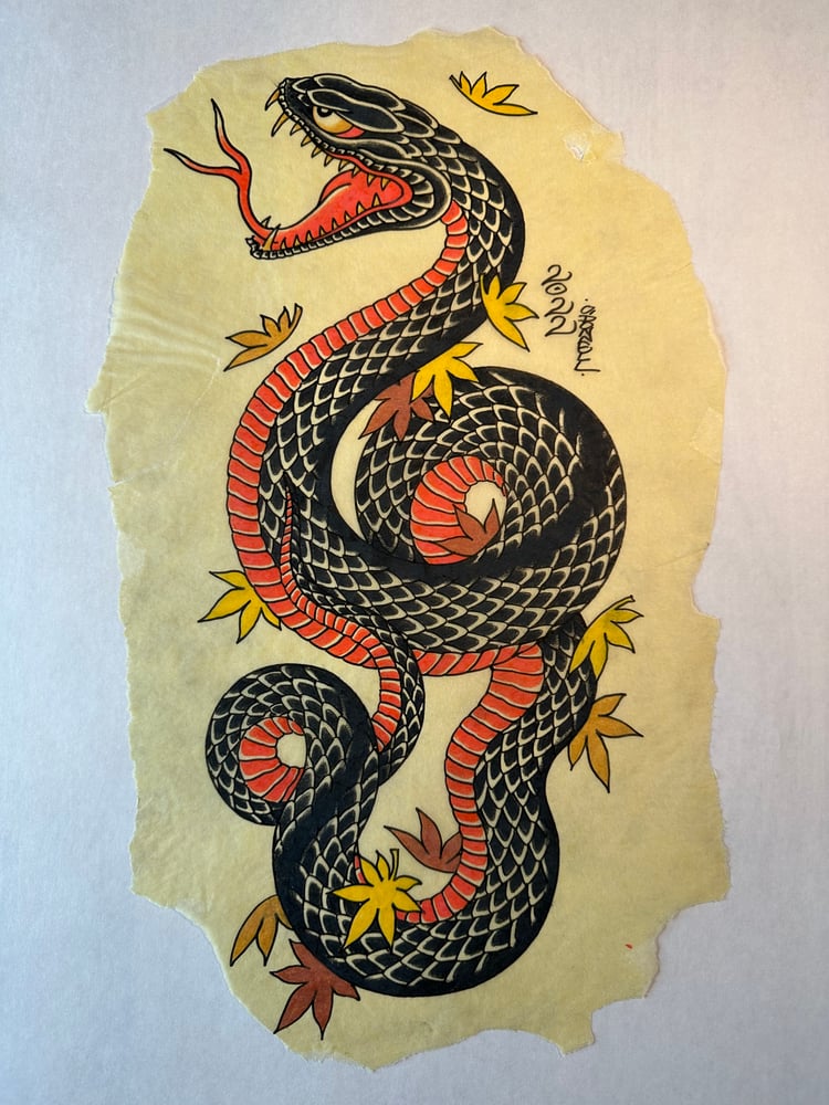 Image of Black & red snake 2022