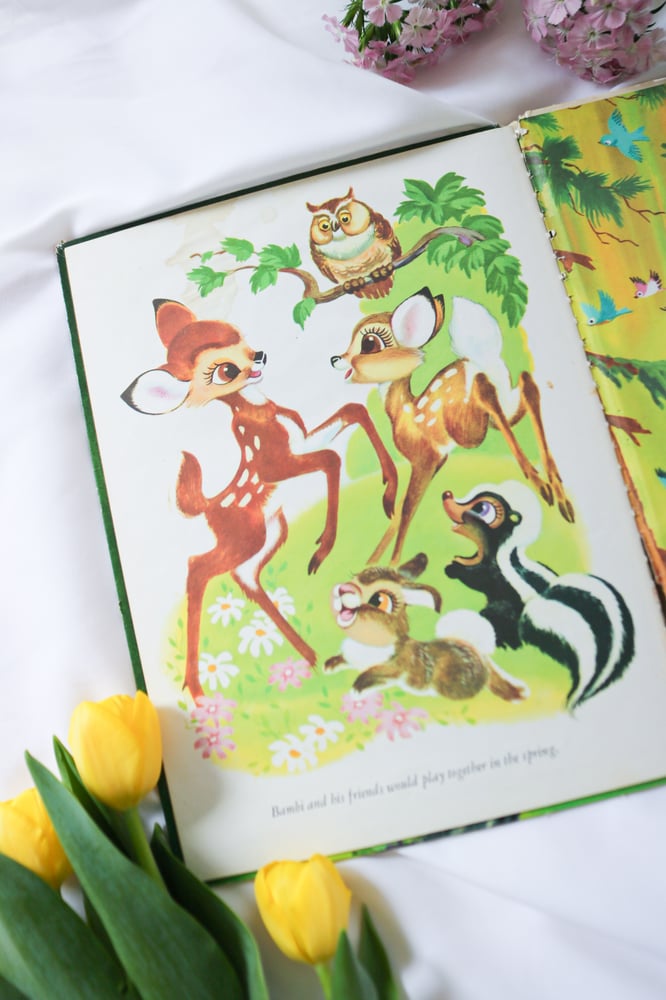 Image of Vintage Bambi Coffee Table Book Bundle - Set of 4