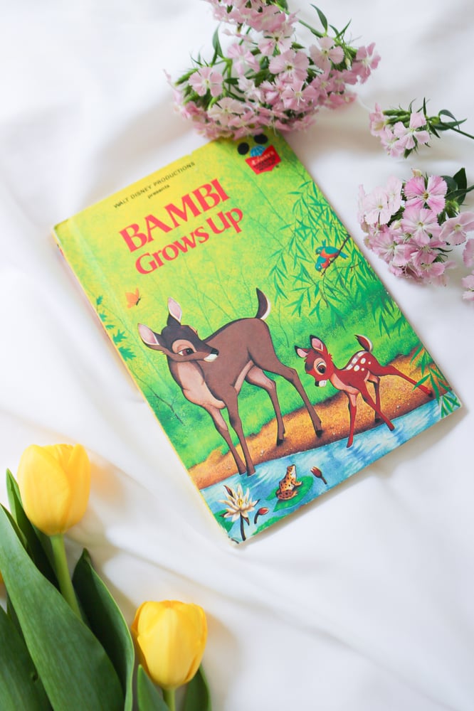 Image of Vintage Bambi Coffee Table Book Bundle - Set of 4