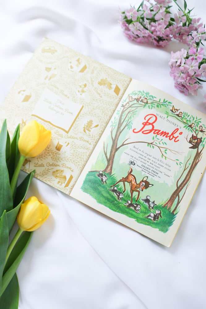Image of Vintage Bambi Coffee Table Book Bundle - Set of 4
