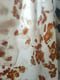 Image of Foulards en soie