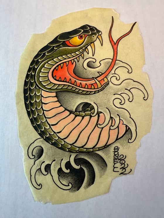 Image of Snake & water 2022