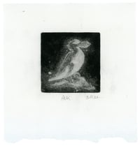 Image 2 of Auk through Dunkleosteus